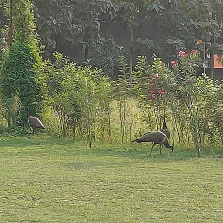 Nature Homestay 바라나시 외부 사진