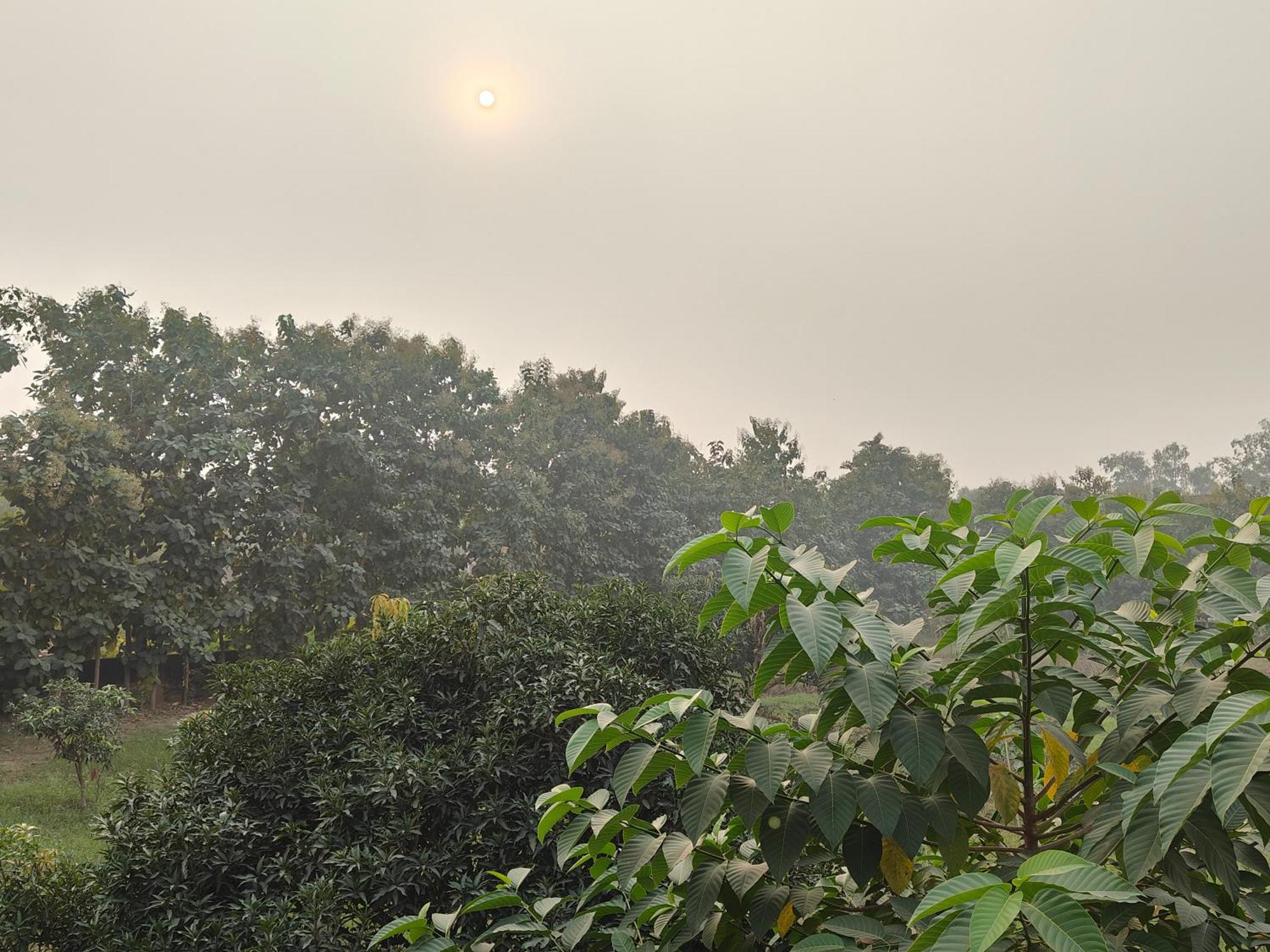 Nature Homestay 바라나시 외부 사진